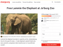 johannesburg-une-petition-pour-liberer-lammie-la-derniere-elephante-du-zoo