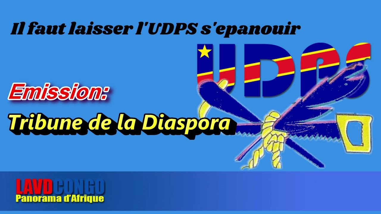 Infos RDCongo- Tribune de la Diaspora: Laisser l’UDPS s’epanouir  selon Dominique Kabongo