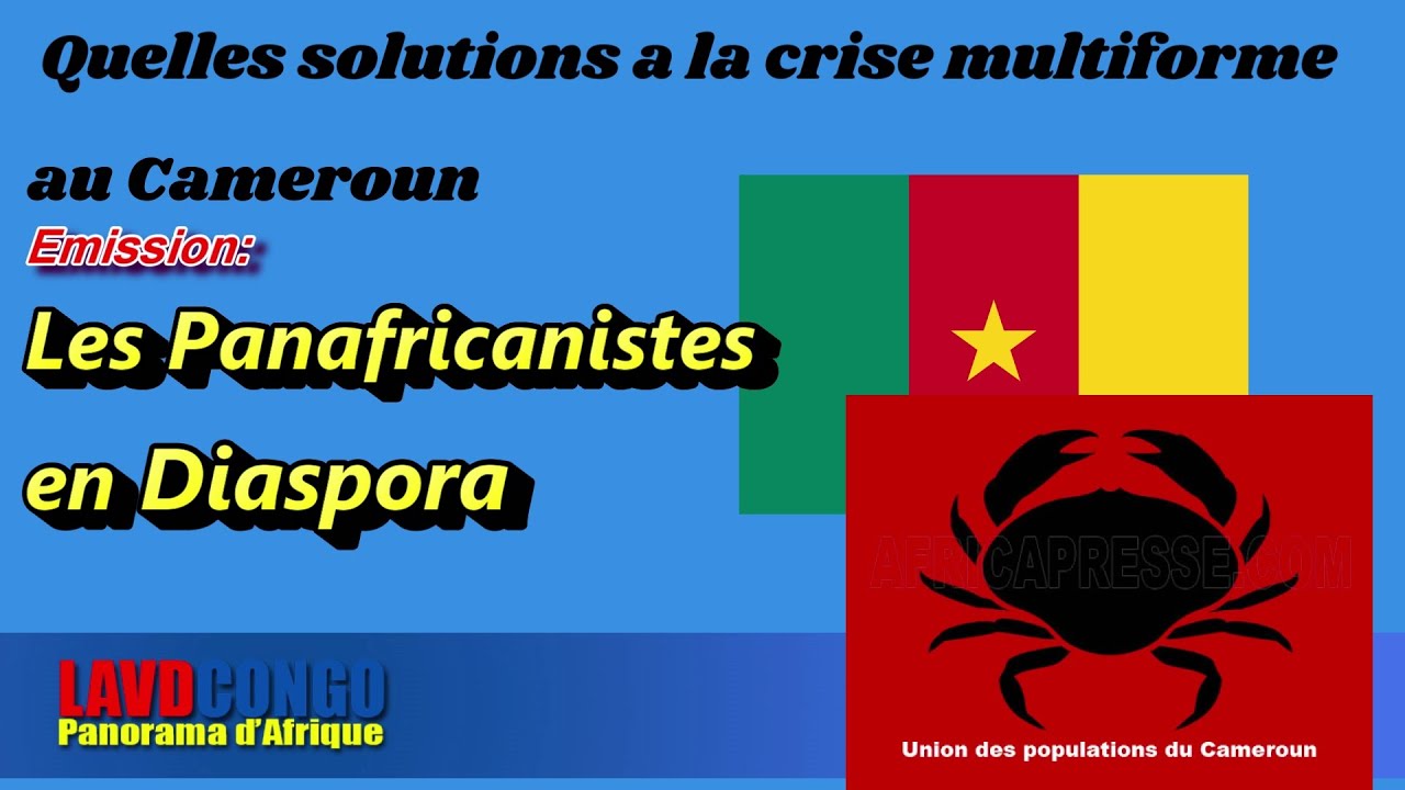 Les Panafricanistes en Diaspora: Quelles solutions a la crise multiforme au Cameroun