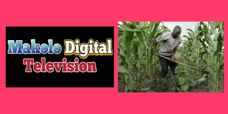 Felix Tshisekedi et son bilan du Slogan: Revanche du sol sur le sous-sol- Espoir et defis